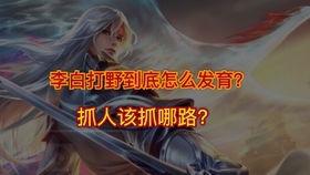 火影招募最新爆料视频,神秘忍者加盟，全新篇章即将开启！