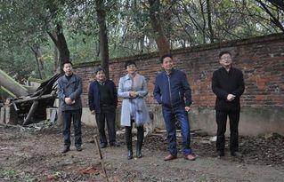 河北唐县新爆料最新消息,揭秘神秘事件背后的真相