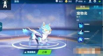 飞车手游最新爆料新宠物,个性养成等你来挑战