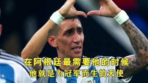 迪玛利亚最新爆料,职业生涯转折与未来展望