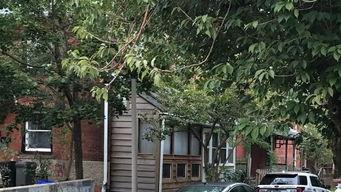 昌乐丹桂府爆料案件最新,揭秘背后惊人真相